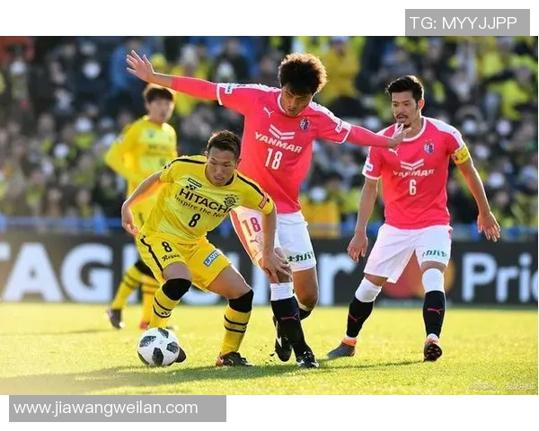 水户蜕变迎战名古屋勇士全力争胜展现球队新气象