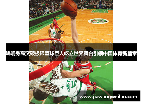 姚明身高突破极限篮球巨人屹立世界舞台引领中国体育新篇章