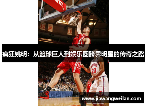 疯狂姚明：从篮球巨人到娱乐圈跨界明星的传奇之路