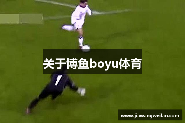 关于博鱼boyu体育
